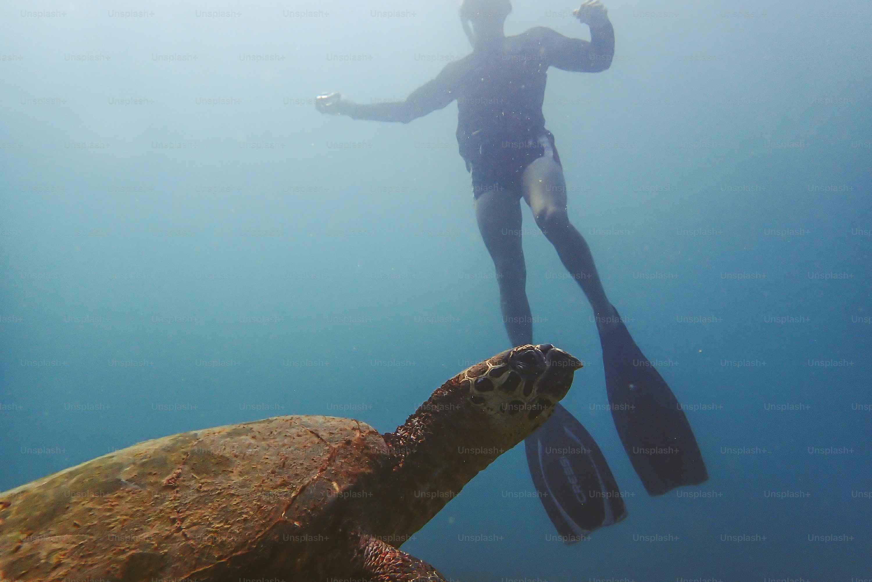 Underwater Adventure